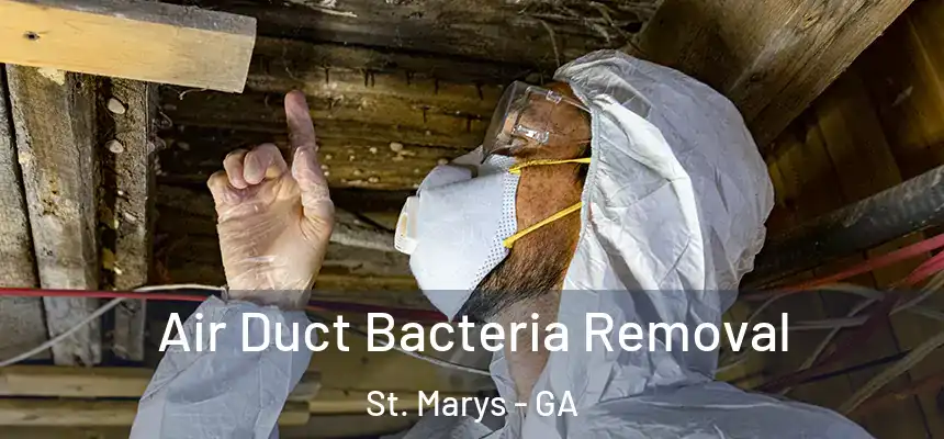  Air Duct Bacteria Removal St. Marys - GA