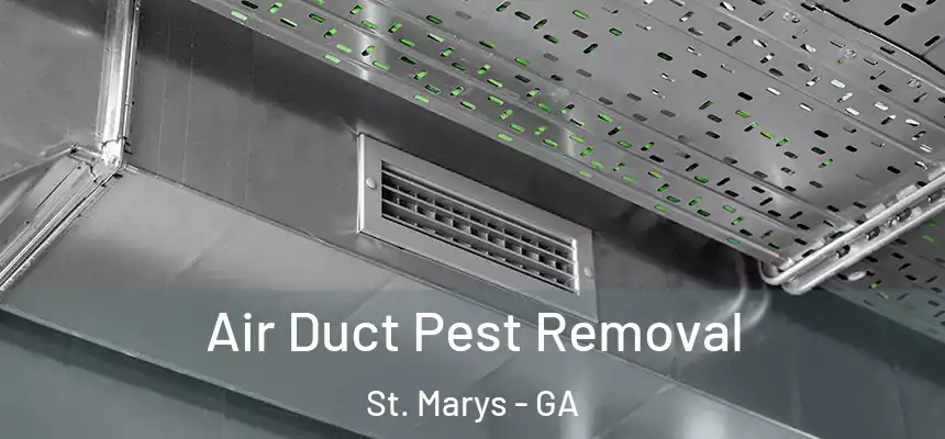 Air Duct Pest Removal St. Marys - GA