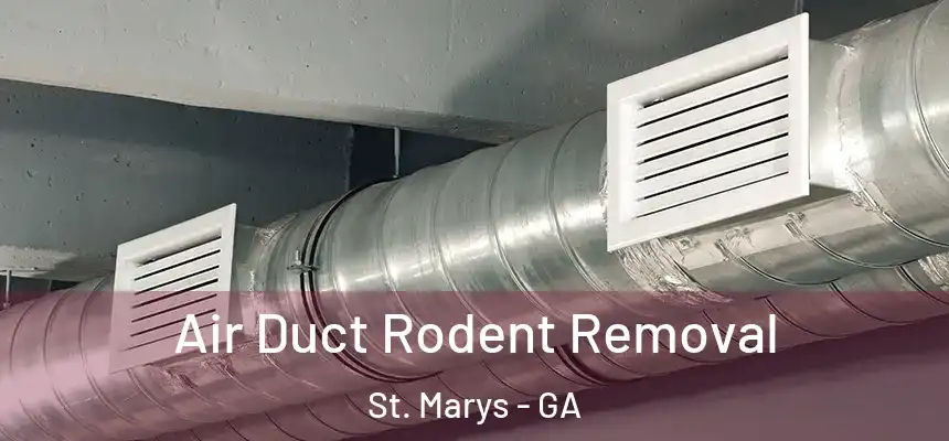  Air Duct Rodent Removal St. Marys - GA