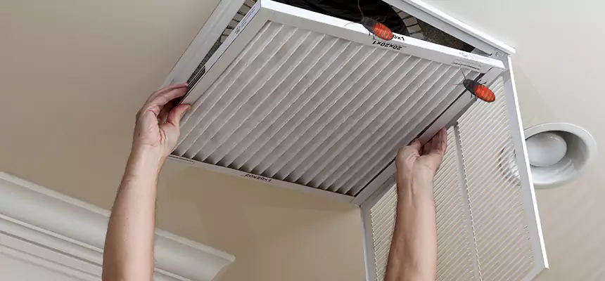 Preventive Cockroach-Proofing for Ducts in St. Marys