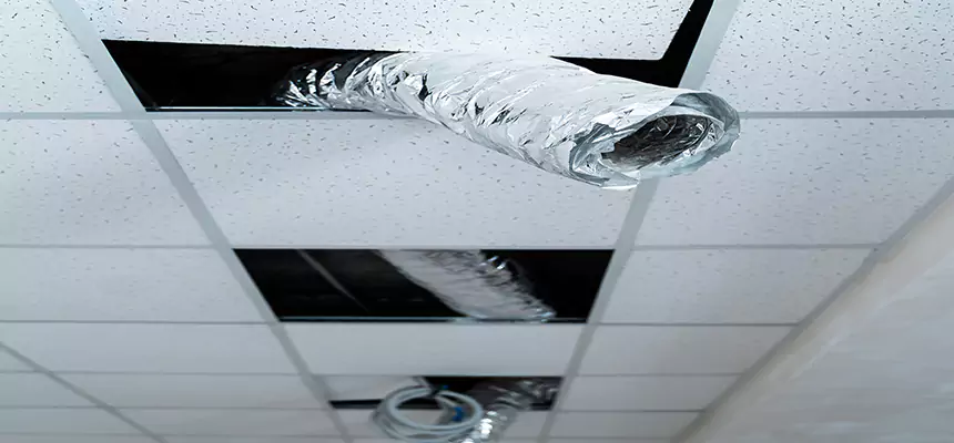 Affordable HVAC Sanitizing After Pest Removal in St. Marys