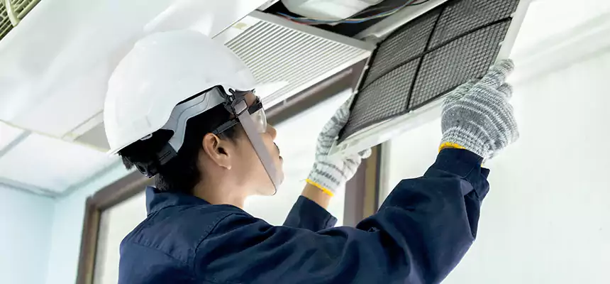 Our Mold & Mildew Removal from Air Ducts Services in St. Marys, GA