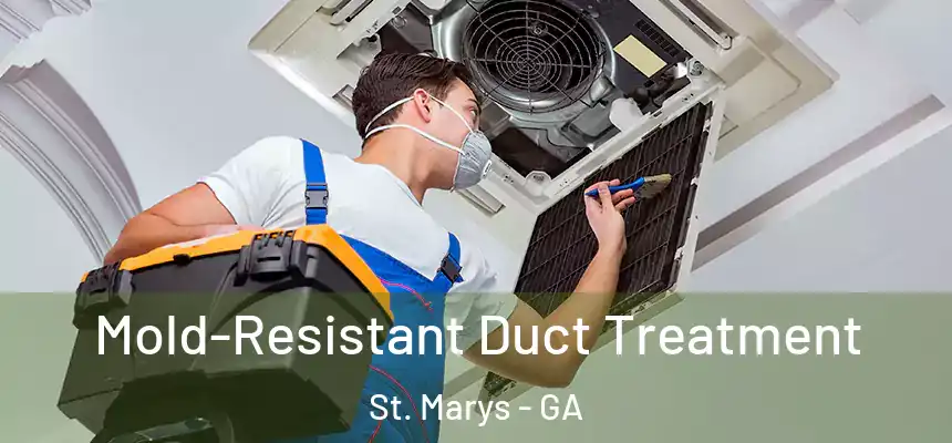  Mold-Resistant Duct Treatment St. Marys - GA