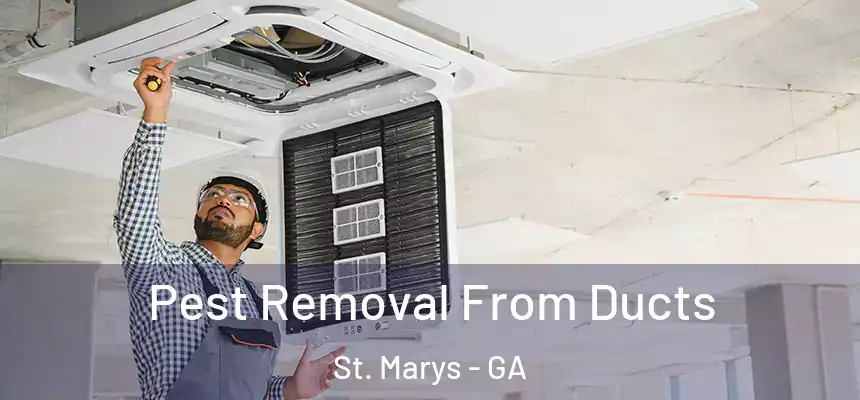  Pest Removal From Ducts St. Marys - GA