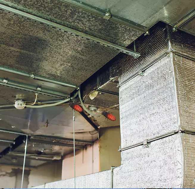 Why Homeowners & Businesses Trust Us in St. Marys, GA?