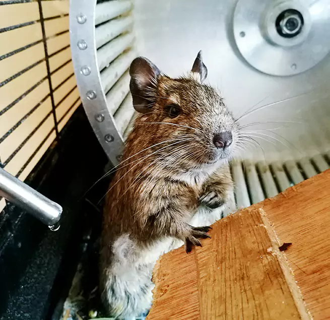 Why Homeowners & Businesses Trust Us St. Marys, GA