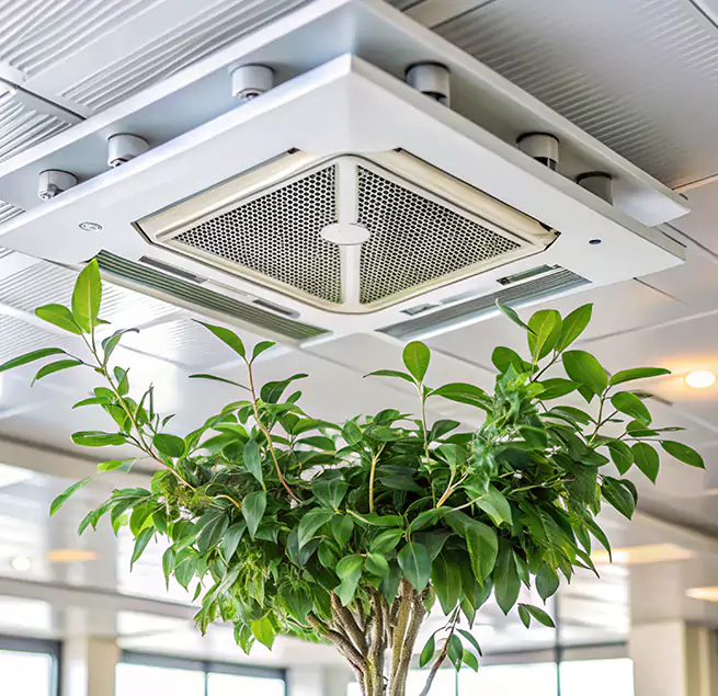 Why Homeowners & Businesses Trust Us in St. Marys, GA?