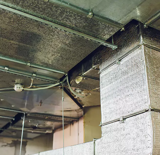 Why Homeowners & Businesses Trust Us in St. Marys, GA?